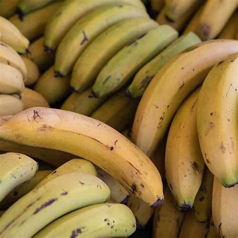 Fresh Banana - Natural Shape | Carefully Sourced For Optimal Freshness ...