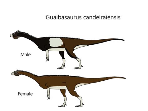 Guaibasaurus candelraiensis by Draco300 on DeviantArt