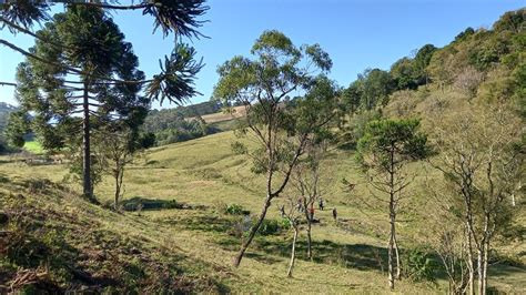 Fazenda S Tio M Em Pedra Branca Em Alfredo Wagner Por R