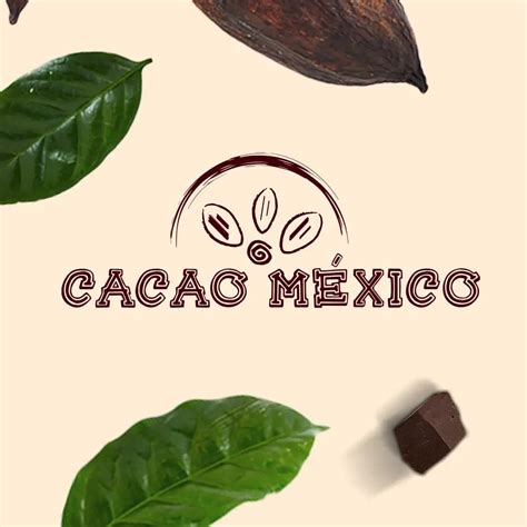 Proyecto Cacao Hershey M Xico