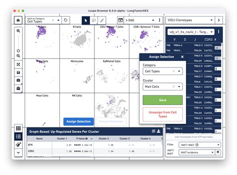 Integrated V D J And Gene Expression Analysis In Loupe Browser