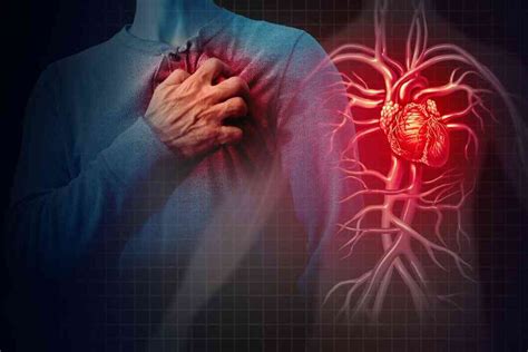 Heart Cancer Causes Types Symptoms Diagnosis And Treatment