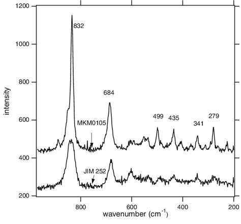 Raman Spectra Of The Lt Mkm0105 And The Ht Jim252 Samples Download Scientific Diagram