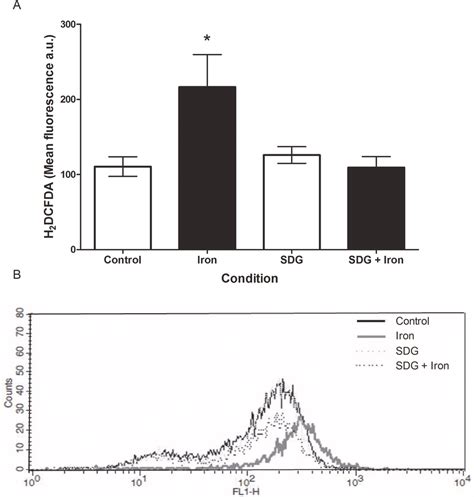 SDG Decreases Iron Induced Oxidative Stress In H9c2 Cells Reactive