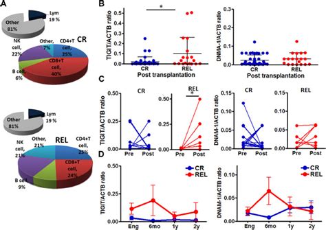 Monitoring Tigit Dnam And Pvr Pvrl Immune Checkpoint Expression