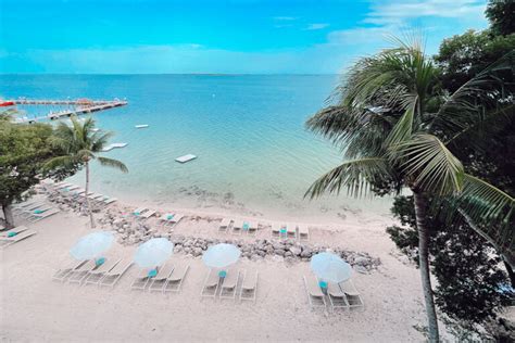 Best Things To Do In Key Largo Wyandottedaily