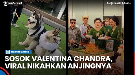 Sosok Valentina Chandra Dibalik Pernikahan Anjing Mewah Yang Ditaksir