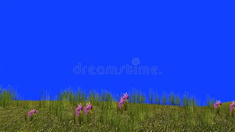 3d Rendering Of Grasses And Trees Swaying In The Wind Stock Video Video Of Botany Chroma