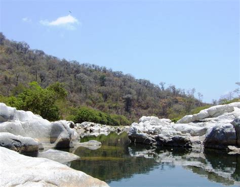 Conmemoran reconocimiento de Reserva de Biósfera del Noroeste entregado