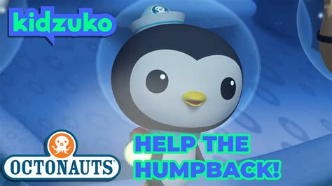 Octonauts Full Episodes