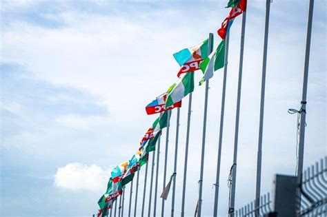 full result  apc presidential primary punch newspapers