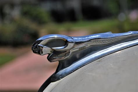 Antique Dodge Ram Mascot Hood Ornament Photograph By Daniel Ladd