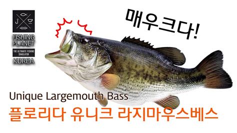 피싱플래닛 Fishing Planet 유니크 Unique Largemouth Bass 베스 잡기 Youtube