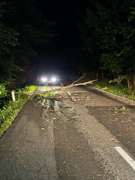 Baum über Straße Windhofstraße Feuerwehr Semriach