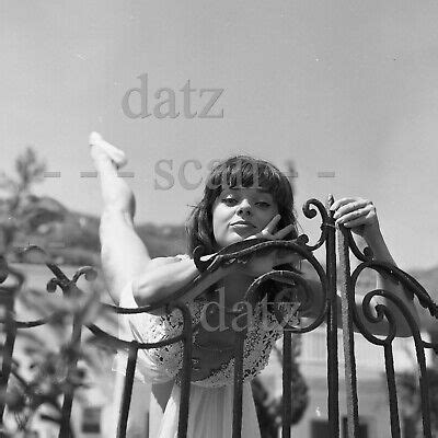 S Negative Sexy Brunette Pinup Girl Cheesecake T Ebay