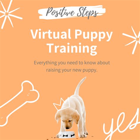 Online Puppy Training Course - Positive Steps