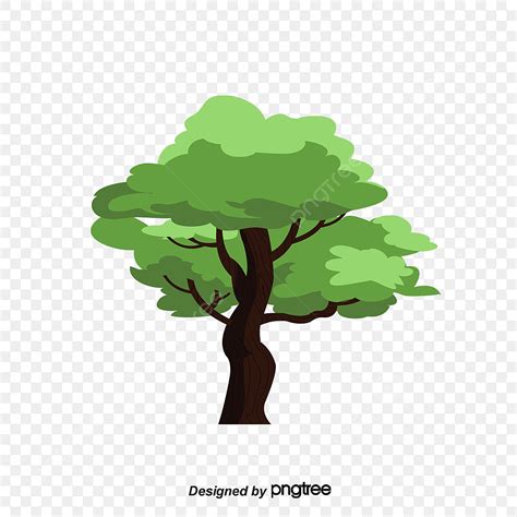 Tree PNG Picture Tree Tree Clipart Png Tree Vector Tree Clipart PNG