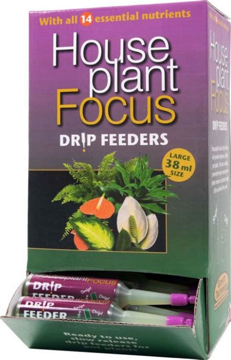 Houseplant Focus Drip Feed Urban Jungle Plant Nursery