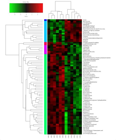 Hierarchical Clustering Analysis Hca And Heat Map For Different