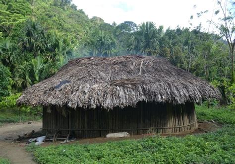 A Hut With Grass Roof In Front Of Trees