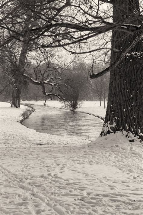 Winter Landscape in Black and White Stock Photo - Image of landscape ...