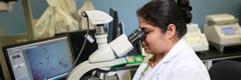 Bioengineering vs. Biomedical Engineering: What’s the Difference ... 