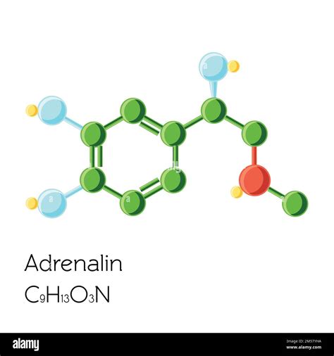 Adrenalina Adrenalina F Rmula Qu Mica Estructural De La Hormona De