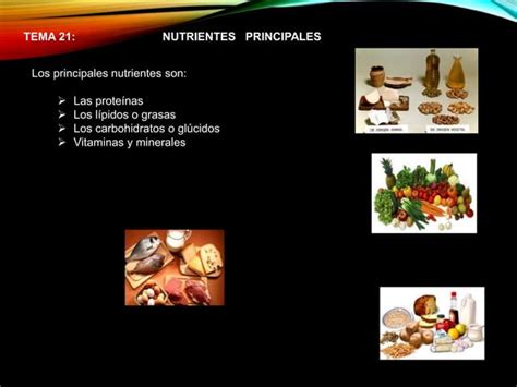 Biofisica Aplicada En El Ser Humano