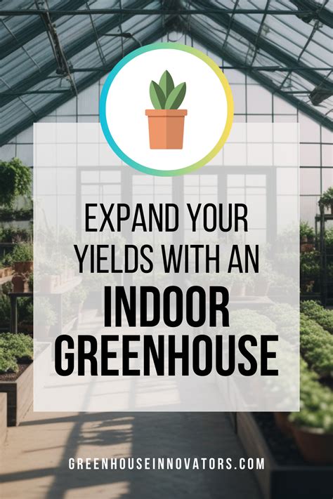 Harvest at Home: Expanding Yields with an Indoor Greenhouse