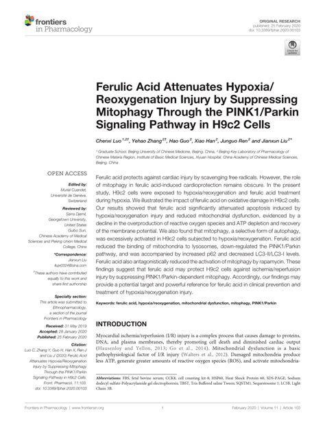 PDF Ferulic Acid Attenuates Hypoxia Reoxygenation Injury By