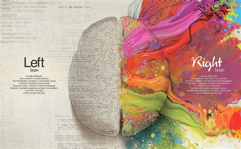 Anatomy Of A Designers Brain