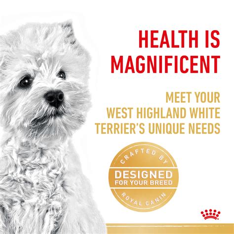 Royal Canin West Highland White Terrier Adult Dry Dog Food Petdirect