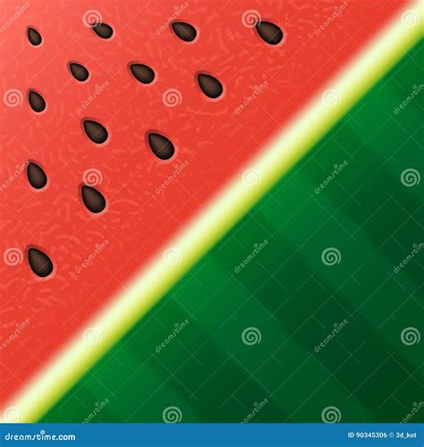 Watermelon Texture Background Vector Illustration | CartoonDealer.com ...