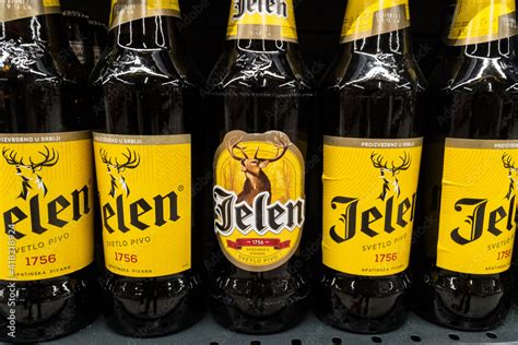 BELGRADE, SERBIA - FEBRUARY 26, 2021: bottles of Jelen Pivo Beer, some ...