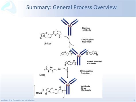 Ppt Introduction To Antibody Drug Conjugates Adc John Milne Phd