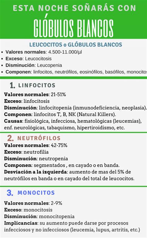 Neutr Filos Altos Causas S Ntomas Y Relaci N Con El Embarazo