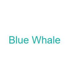 Blue Whale Crunchbase Company Profile Funding