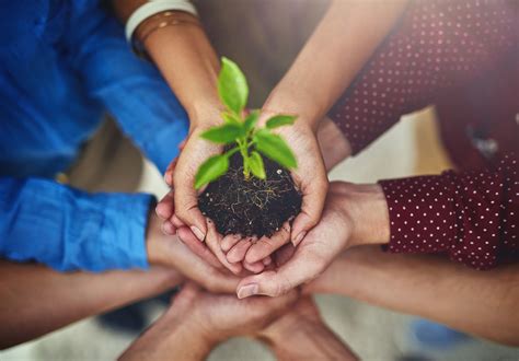 O Que Fazer Para Preservar O Meio Ambiente Aprenda