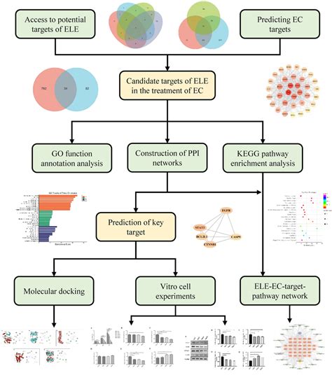 Network Pharmacology Analysis Process Download Scientific Diagram