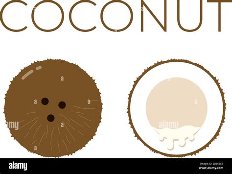 Vector Of Coconut And Sliced Half Of Coconut On White Background Stock