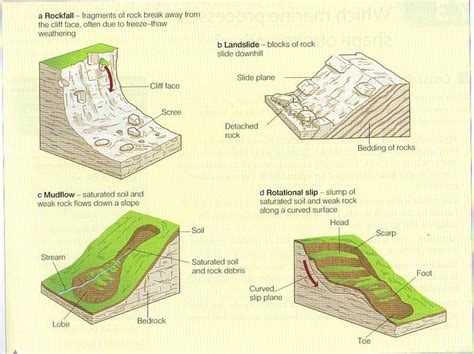 The Coastal Zone Note