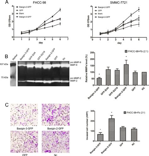 Roles Of Basigin 3 And Basigin 2 In Hcc Cell Proliferation And Invasion Download Scientific