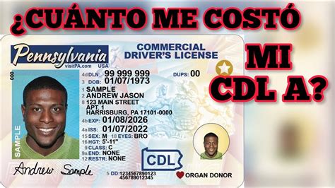 Licencia C En Estados Unidos Tipos Y Proceso De Obtenci N