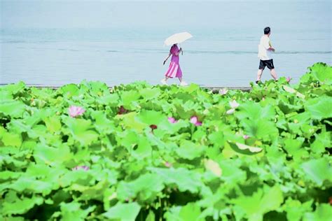 今日大暑 杭州天气更热了 40℃高温又来了 杭州新闻中心 杭州网