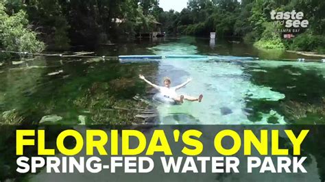 Enjoy Crystal Clear Blue Water At Weeki Wachee Springs State Park