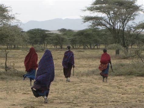 Miwani For Mwanza Afternoon In The Ngorongoro Crater