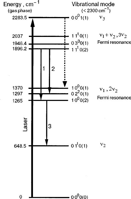 Vibrational Energy Levels Of 13 Co 2 Up To 2300 Cm Ϫ 1 1 2 3 16