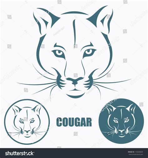 Cougar Head Vector Illustration 116646820 Shutterstock