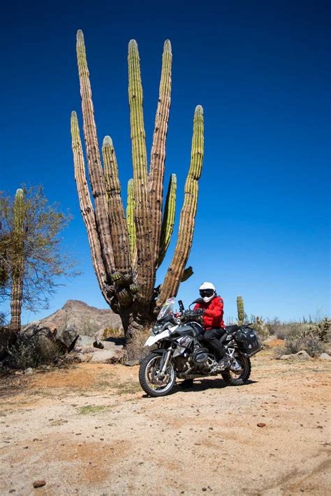 baja motorcycle tours | Reviewmotors.co