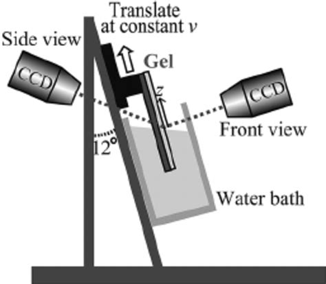 A Schematic Of The Setup For The Dip Coating Experiment The Substrate